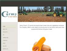 Tablet Screenshot of carmy-export.com